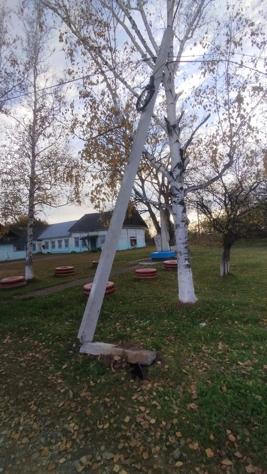 База-Дрофа