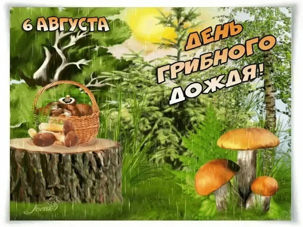 Говорят, что в грибной дождик растут не только грибочки, но и маленькие детки.