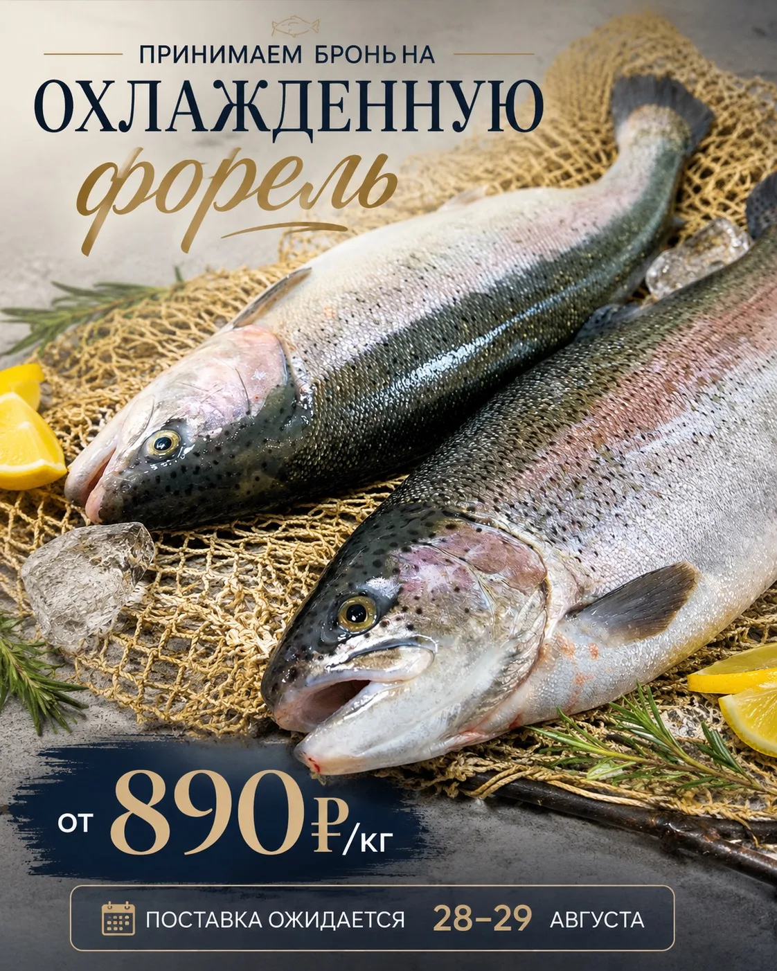 Принимаем бронь на охлажденную форель  от 890₽/кг