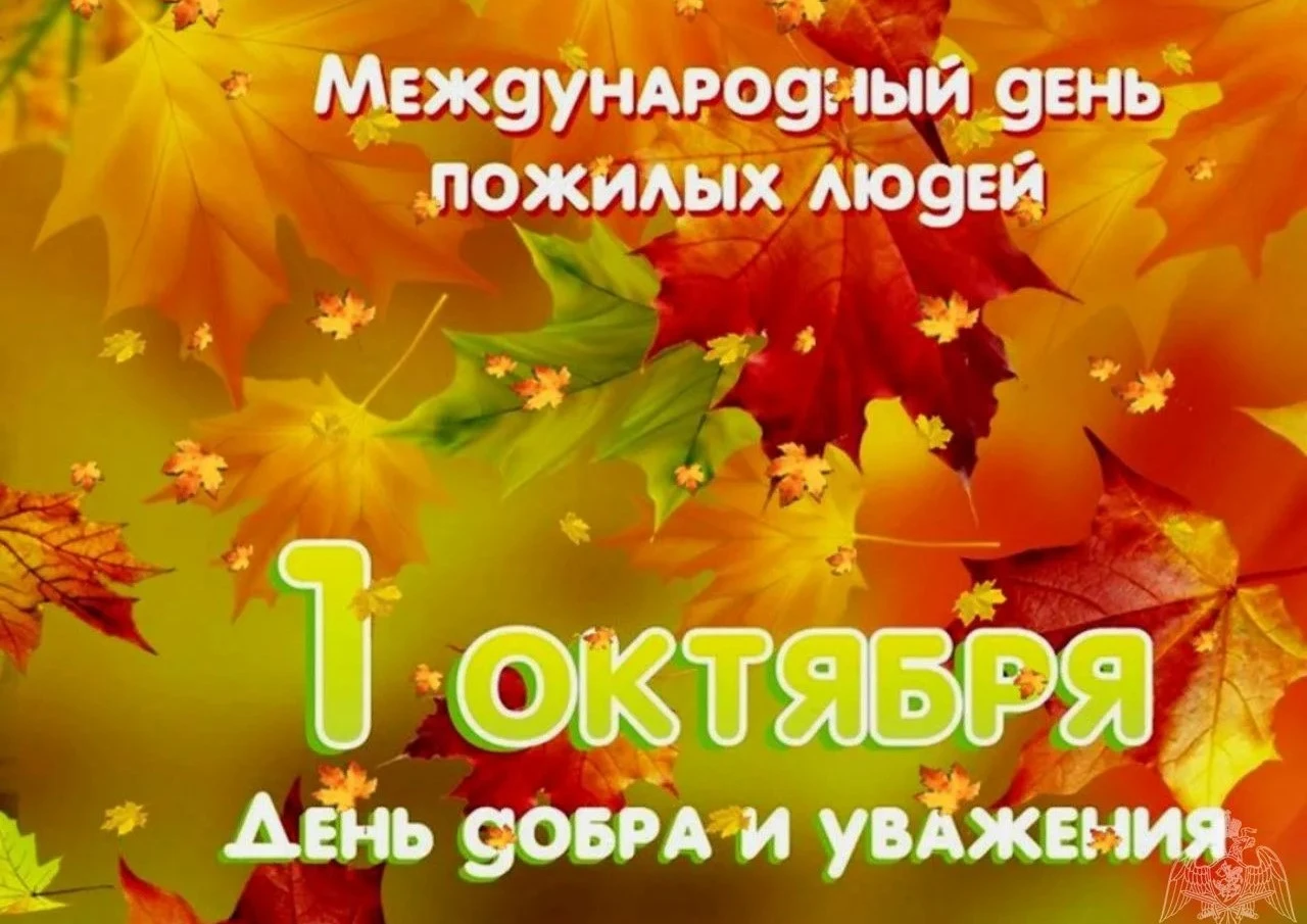 ✨Поздравление Главы Шатровского муниципального округа Алены Николаевны Киселевой: