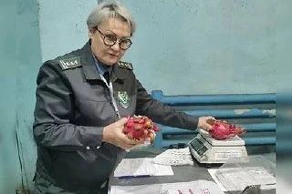 В Иркутске обнаружили признаки заражения в экзотических фруктах из Таиланда.

Специалисты Россельхоз