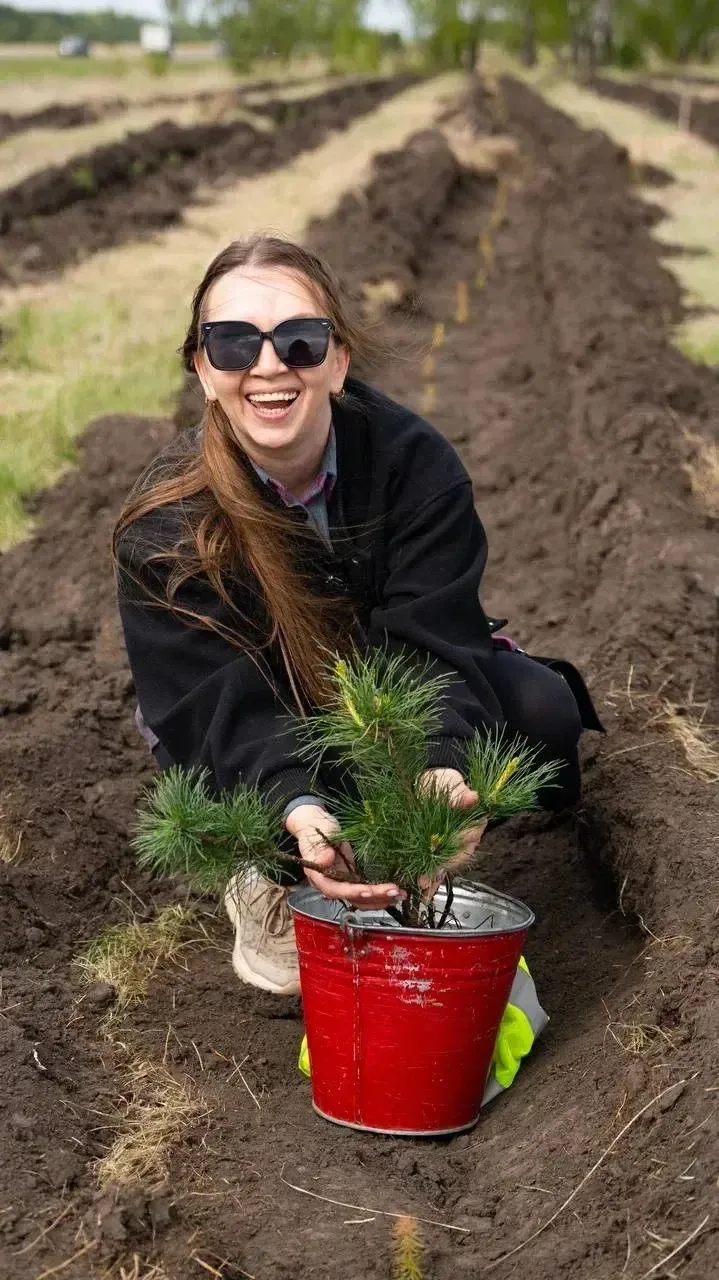 🌲 Высадим 30 тысяч новых деревьев вместе!