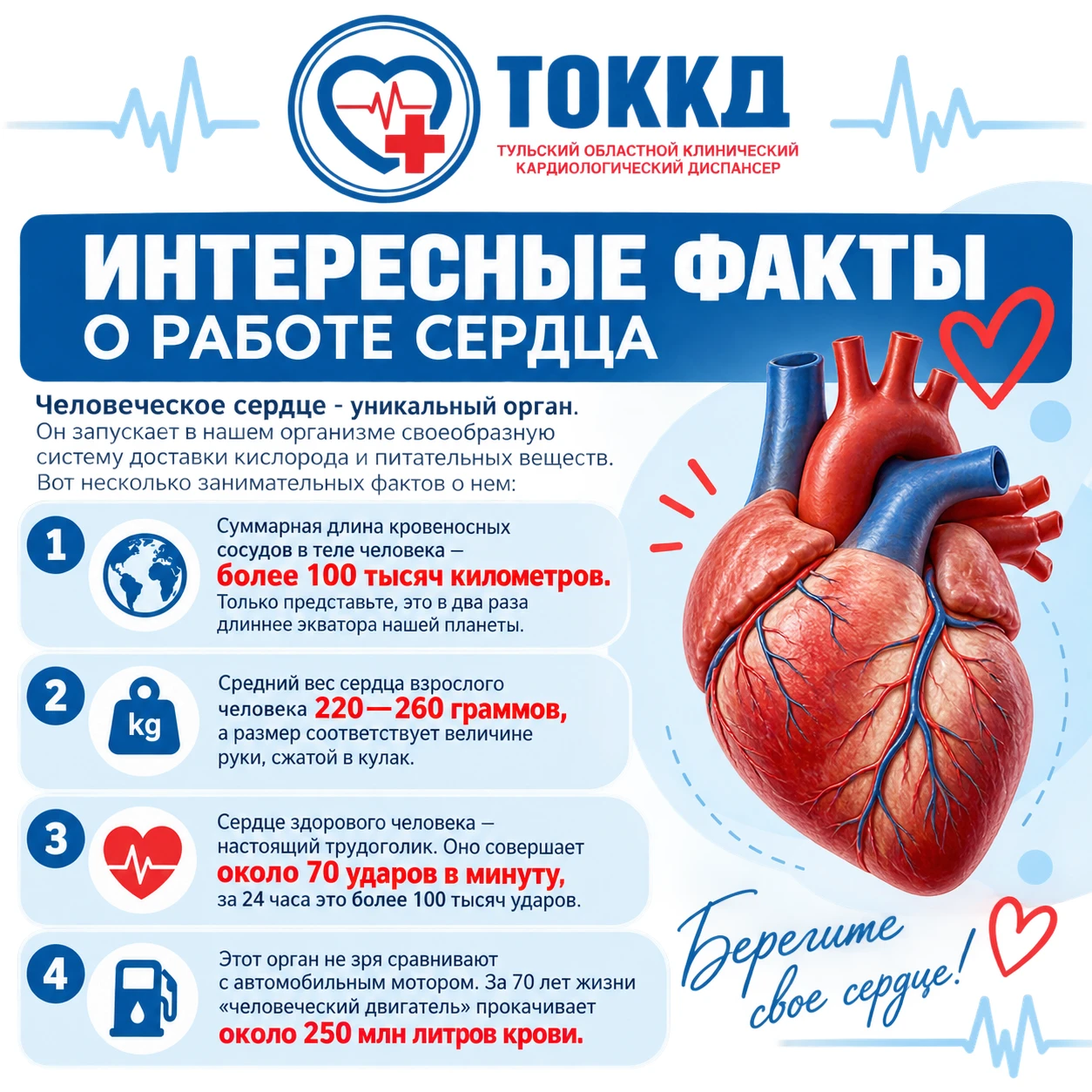 Интересные факты о работе сердца!