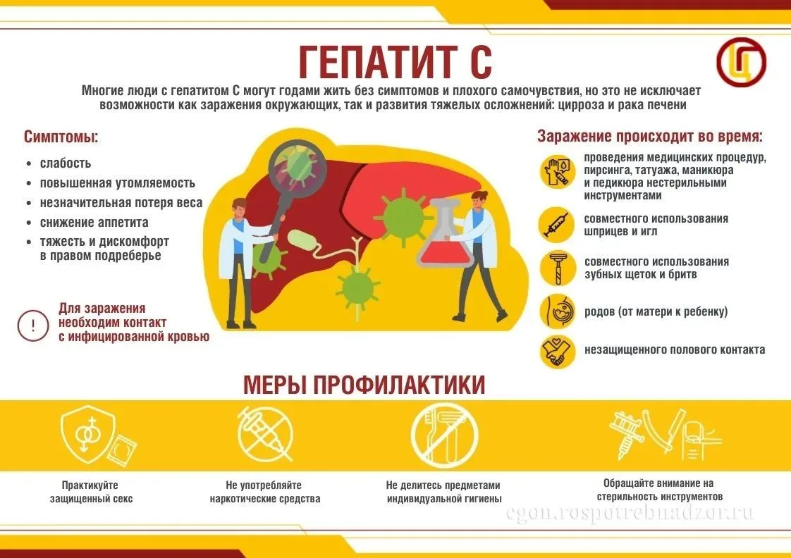 🦠 Гепатит С: что должен знать каждый школьник (и не только)
