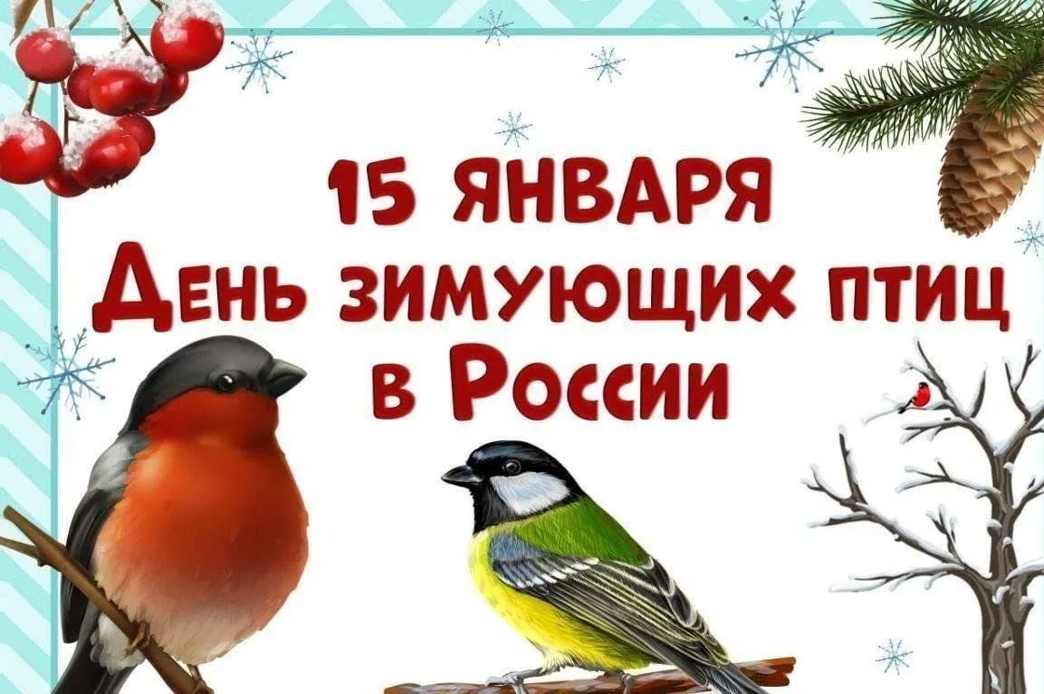 🐦‍⬛Покормите птиц зимой.
Пусть со всех концов
К вам слетятся, как домой,
Стайки на крыльцо.
Не бога