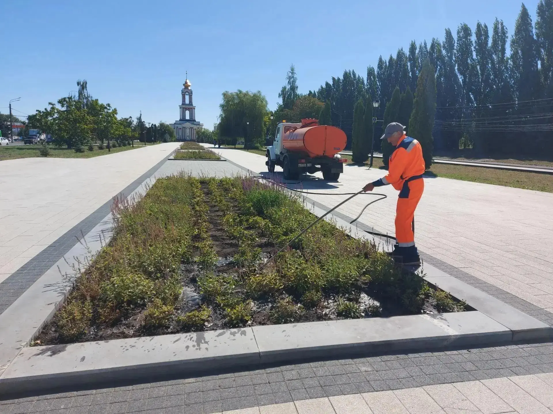 🌳 Парк Патриот в Курске ждут новые посадки