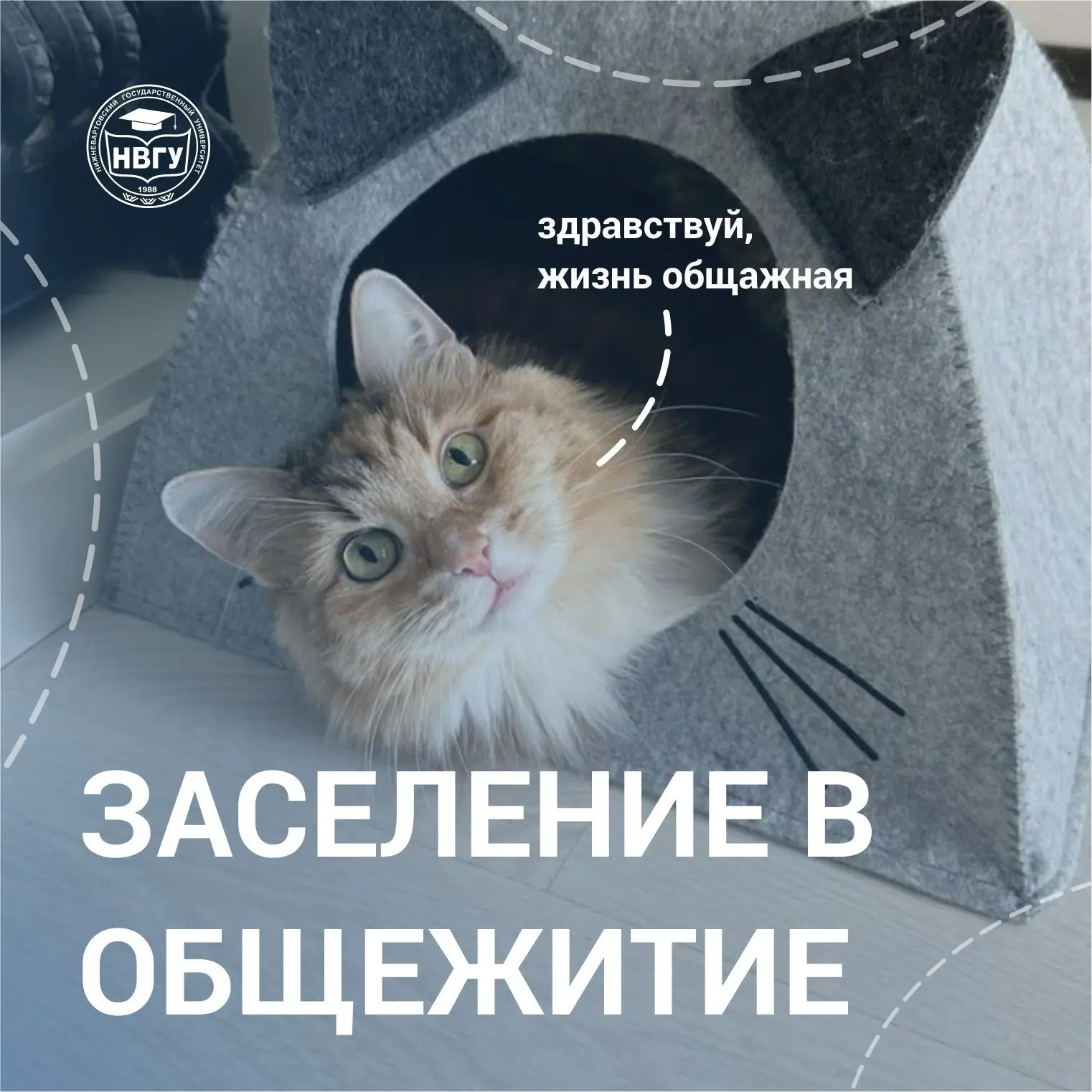 Добро пожаловать домой 🏘️