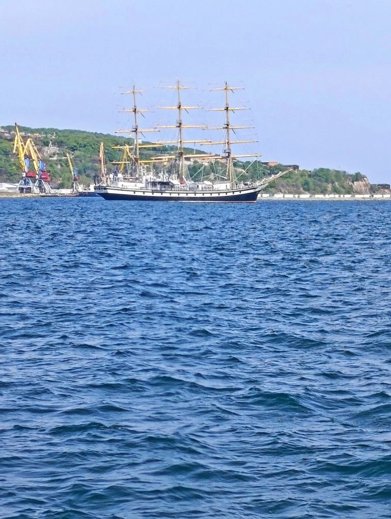 ⛵️Вчера я увидела на рейде парусник «Паллада», который вернулся в город раньше срока. К...