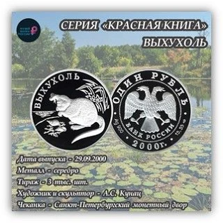 Выхухоль на монете: редкий зверек, который любит темноту и чистую воду