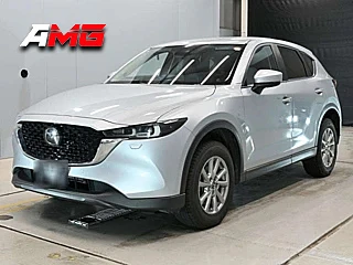 Санкционные автомобили из Японии 🚗