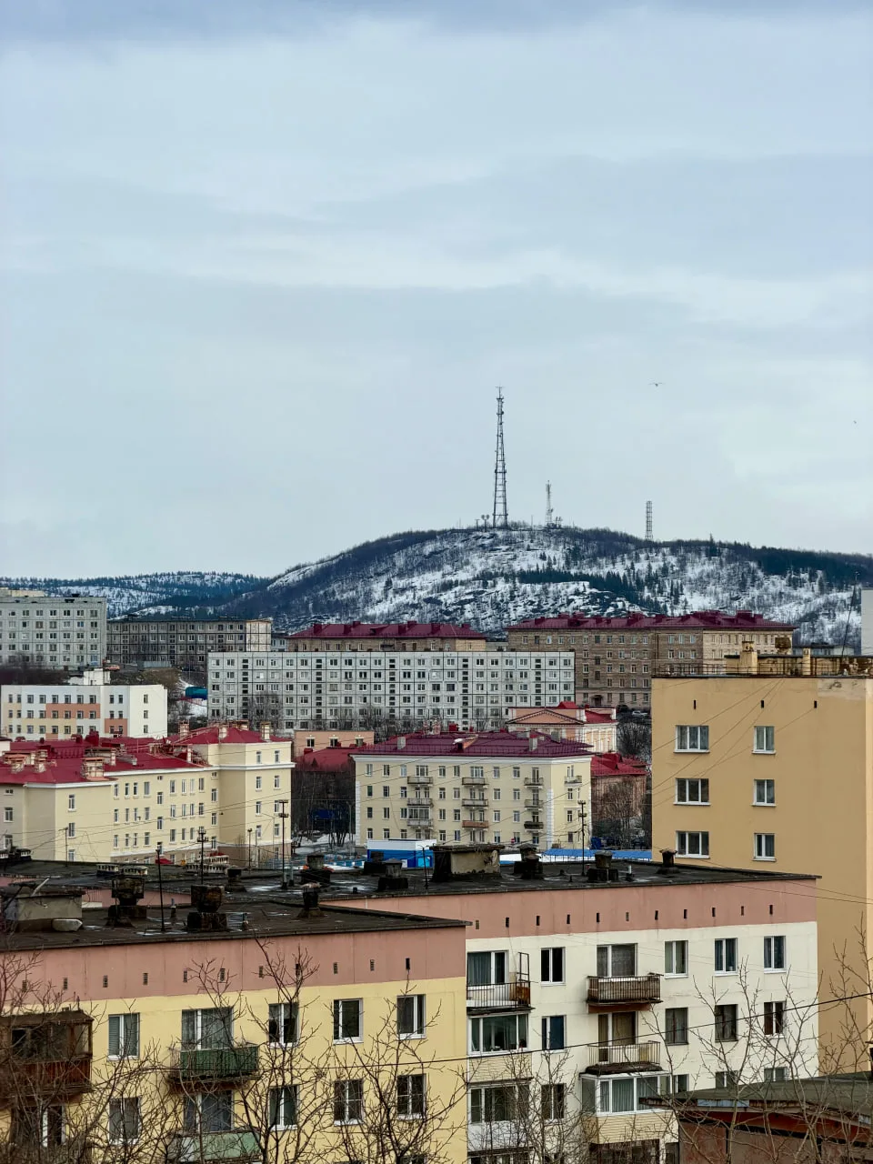Фото — Ирина Кудрявцева.