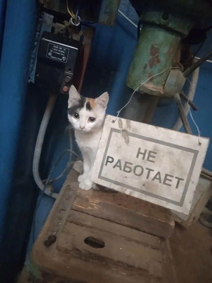 Ставь лайк! ❤️