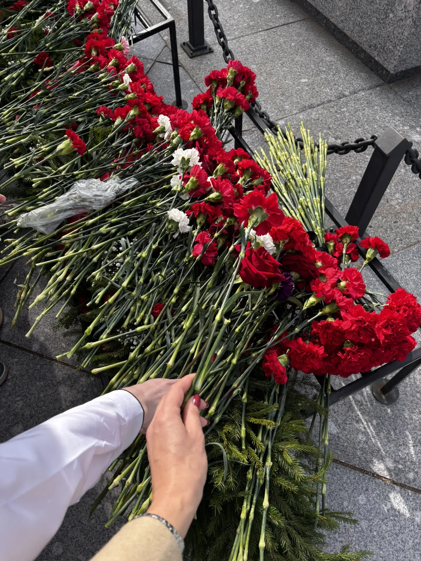 Память, которая живет в наших сердцах 🕊