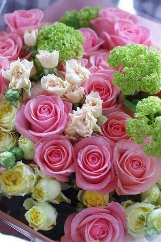 🍃🌸🍃