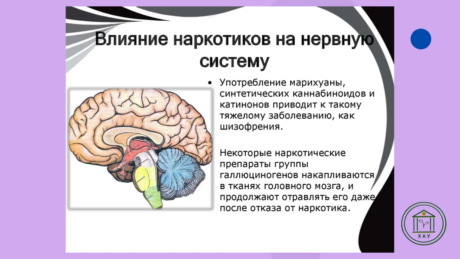 «Влияние психоактивных веществ на психику человека» — новый информационный буклет!   🗓Отдел организа