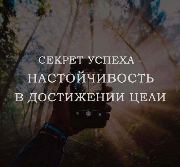 Экспресс-аудит отдела продаж: как за один день увидеть полную картину