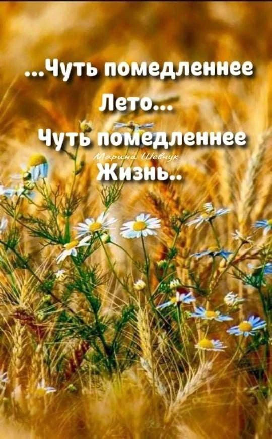 Каждый день прекрасен собой и нет такого дня в жизни, в котором нет счастья, настоящего...