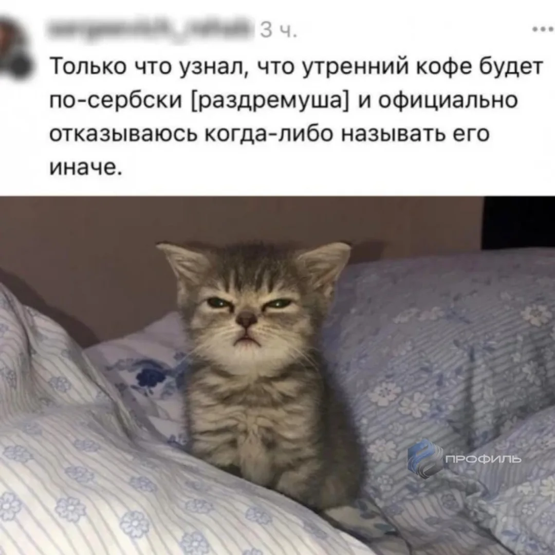 😏По стаканчику и за работу?