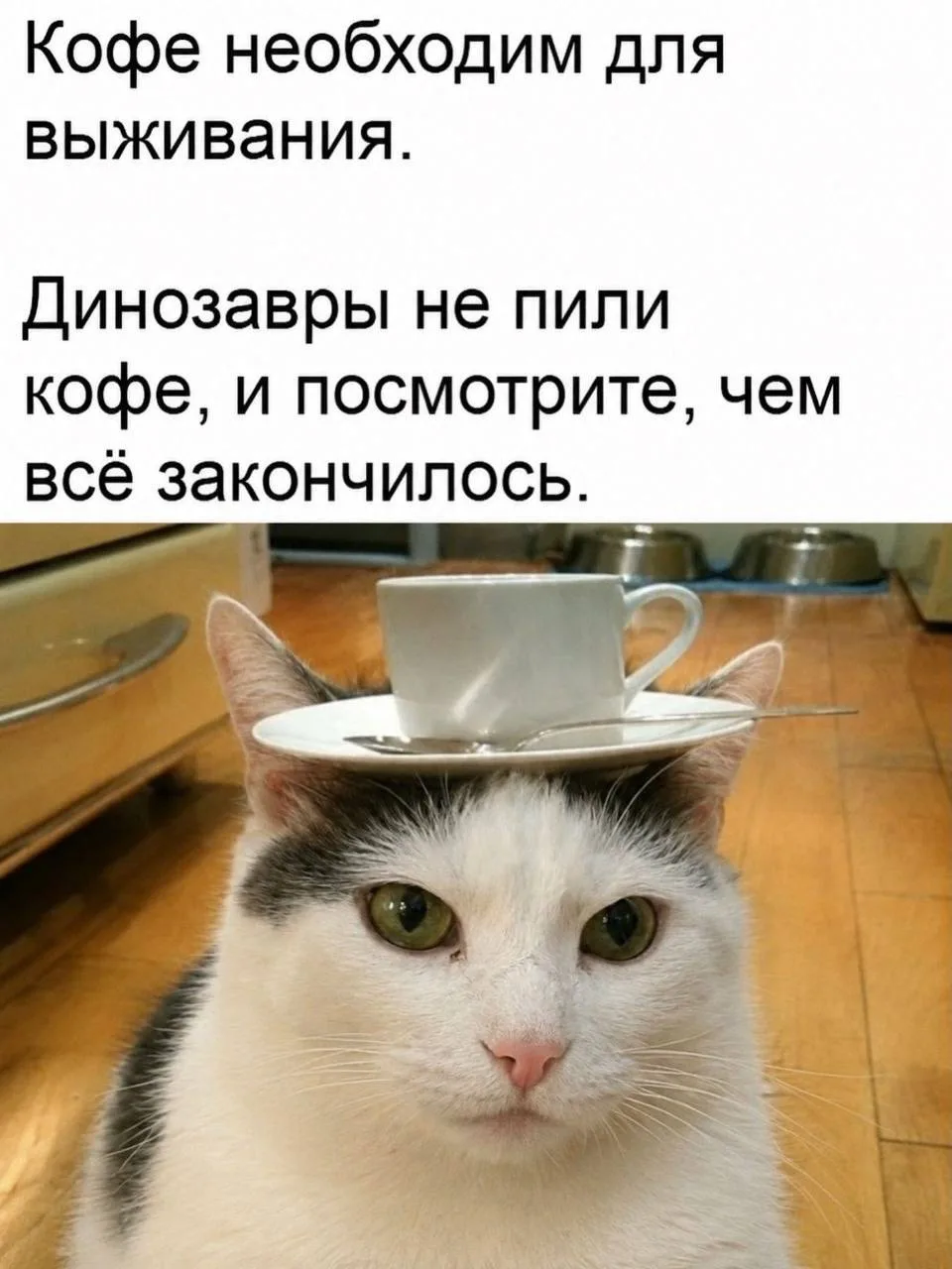 Доброго пятничного утра💃🏻