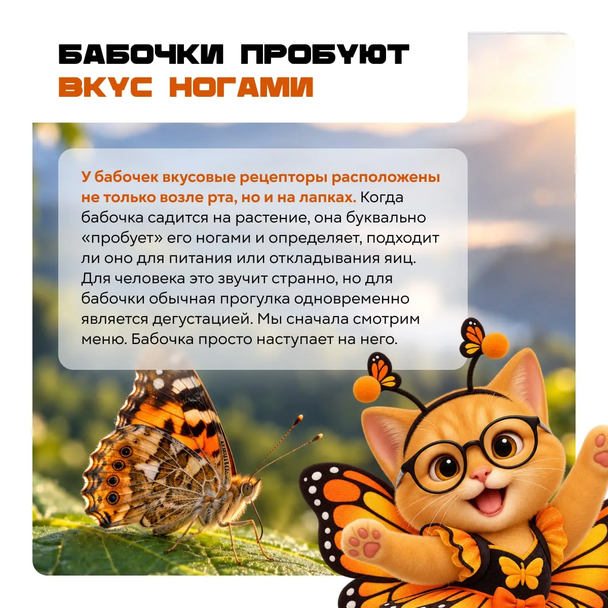 🤯 Эверест — не во всём первый, а море бывает внутри океана
