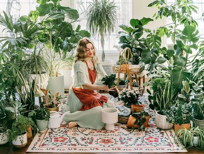 Уход за растениями как пауза для себя 🌿