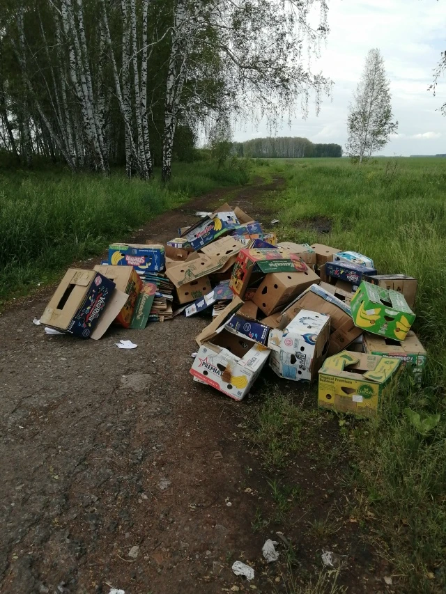 Ночное "украшение" природы. Рядом с г. Ишим, дорога на бывший карьер. Вот для этих целей создан запр