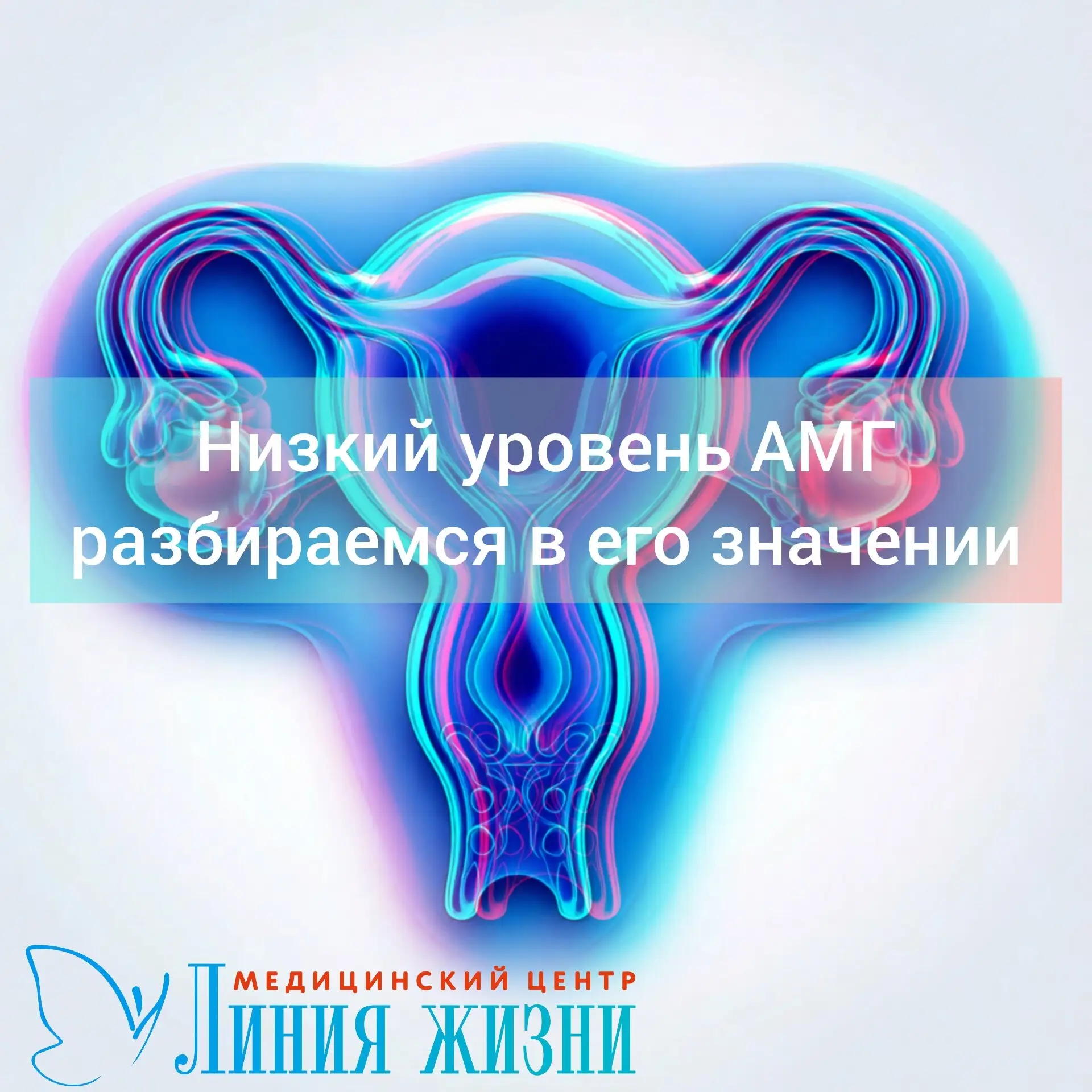 Низкий уровень АМГ: разбираемся в значении показателя❓

Всё чаще при заботе о репродуктивном здоровь
