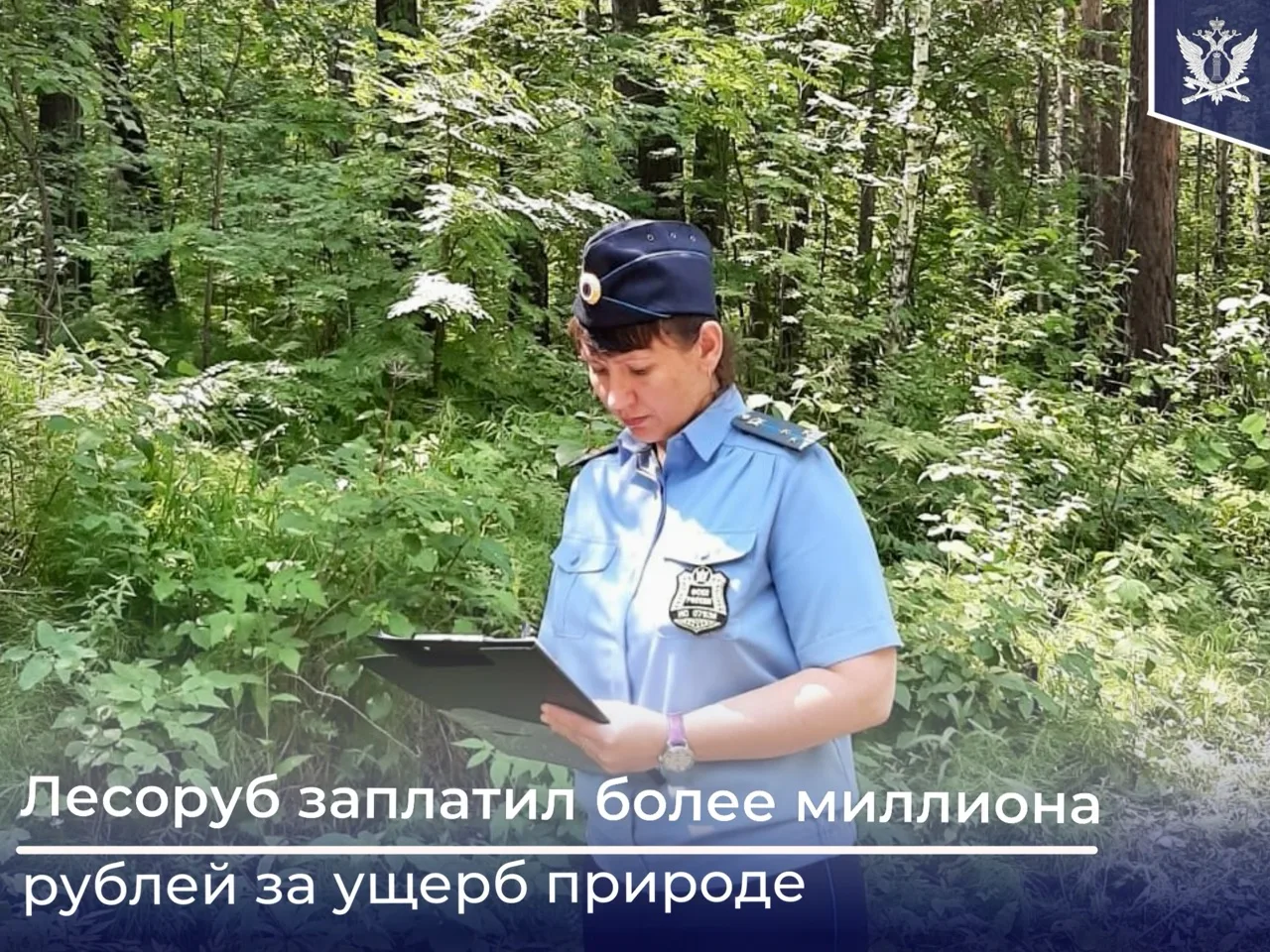 🌲Красноярские судебные приставы взыскали с местного жителя более миллиона рублей ущерба, нанесенног