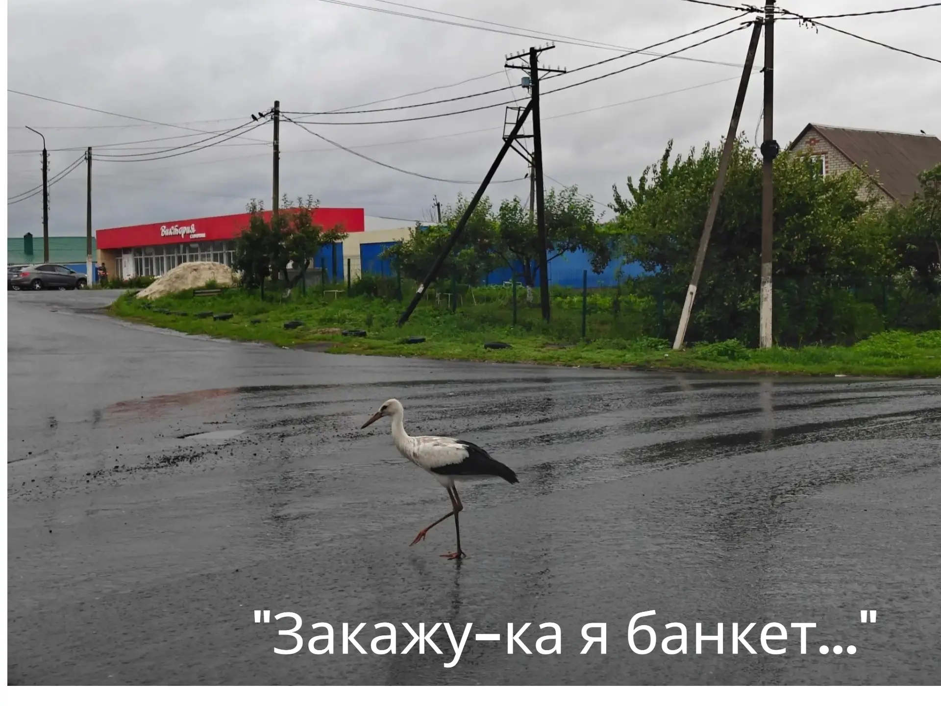 Дорогие друзья!

📸Приглашаем вас в фоторубрику «А вы видите Мантурово таким?». Здесь мы покажем лет