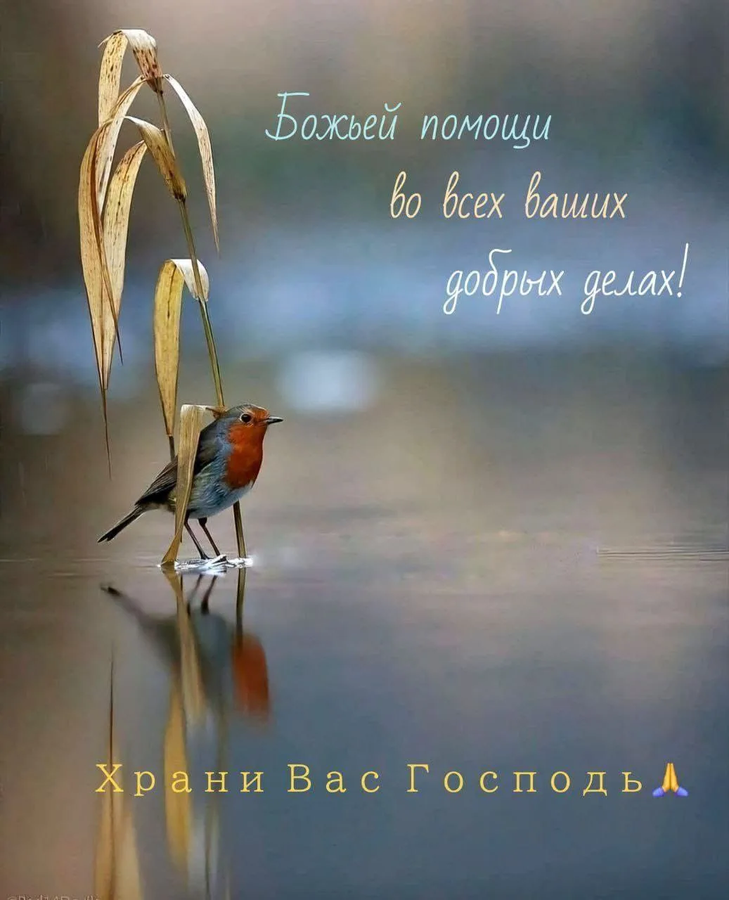 ✨ Тёплые послания