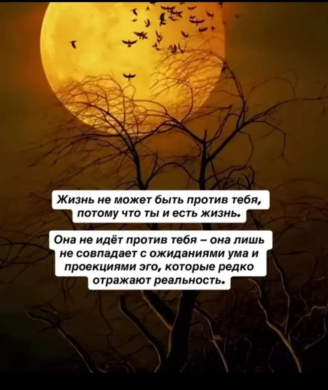 Психолог Столбикова Марина
