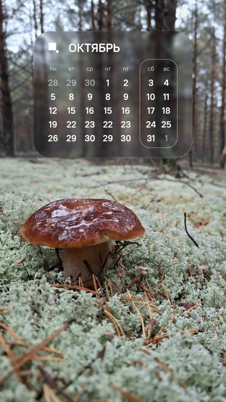 🍂 Октябрь уже на пороге