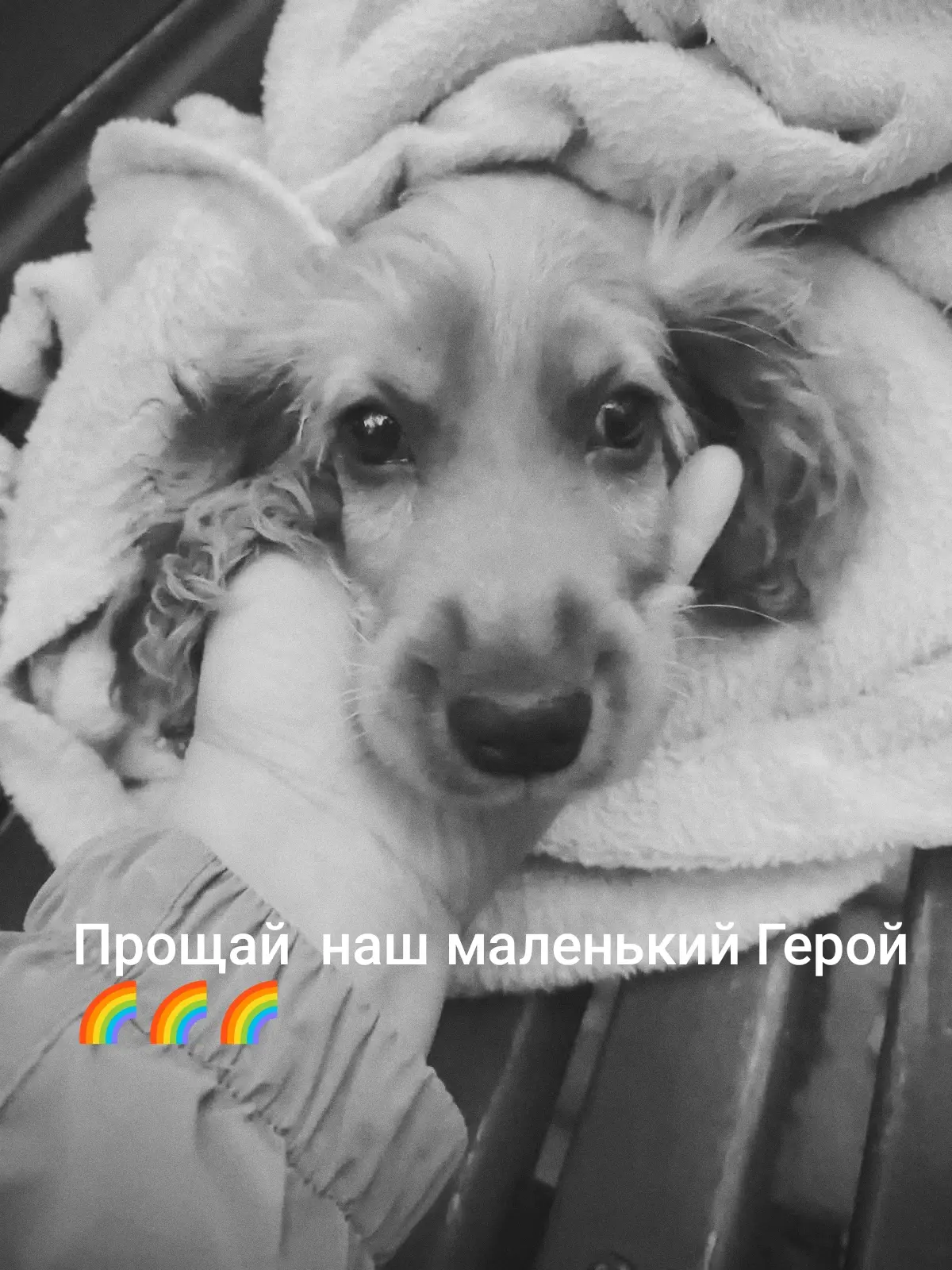 На связи админ 😭💔