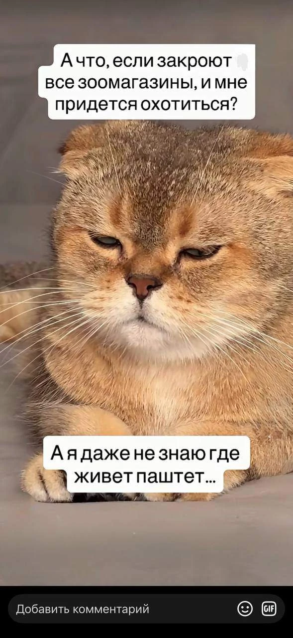 Подпишись на Весёлого Душнилу