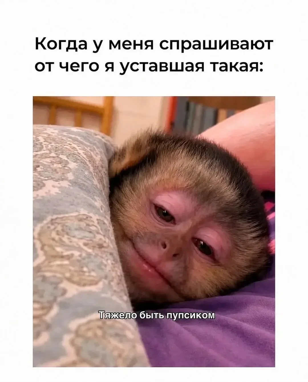 Юмор в открытках