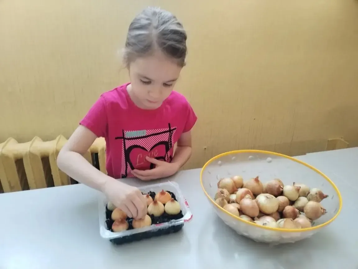 Вот и наступила долгожданная весна! А наши самые младшие жители затеяли огород на подоконнике: посад