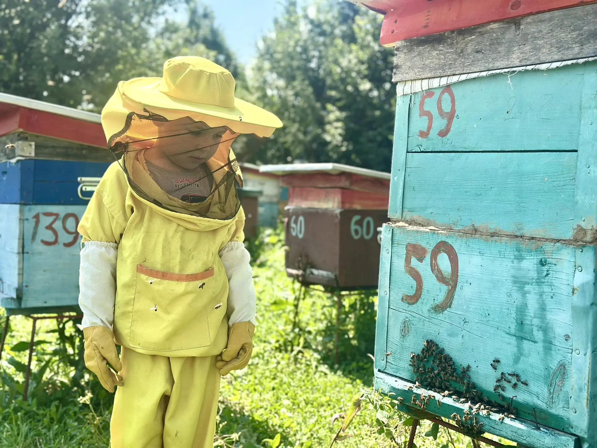 📚 🐝 Пчеловодство — это семейное дело?