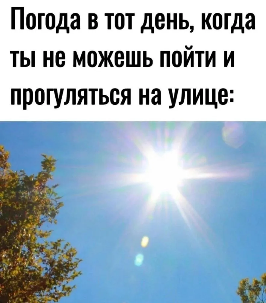 🌤 После похолодания в Мордовию придёт тепло