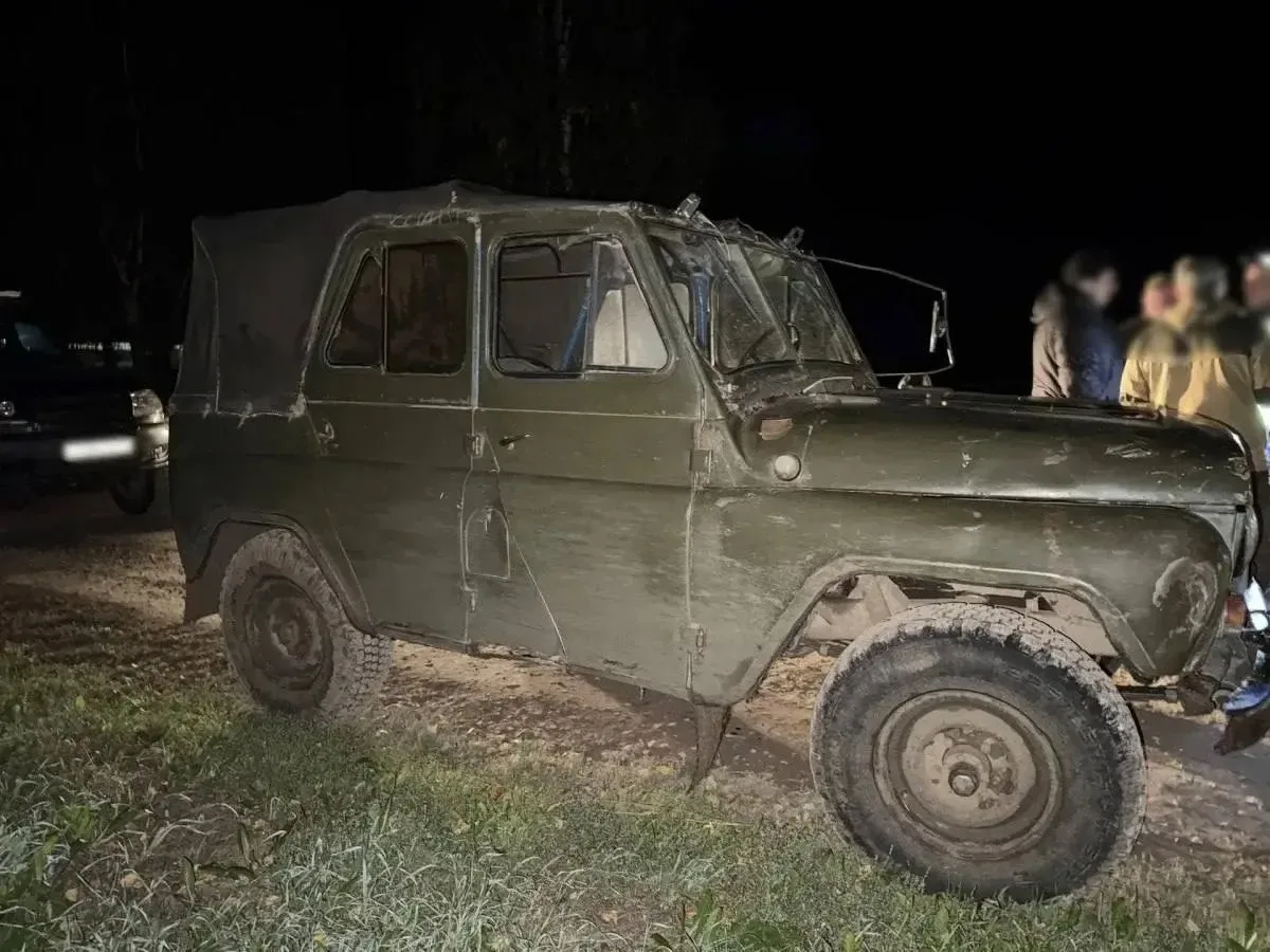 В Кировской области в машине были обнаружены фрагменты туши лосихи