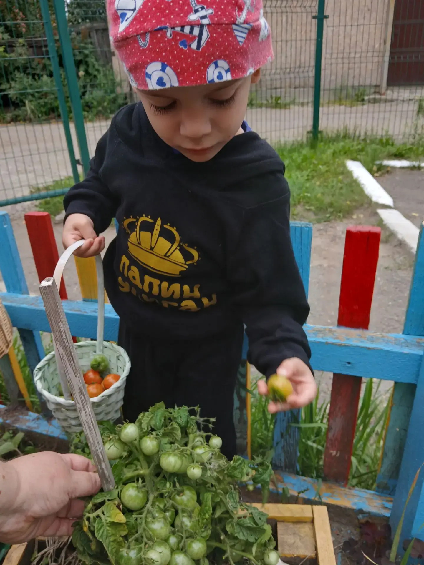 От семечка до урожая: наш первый успех! 🌱