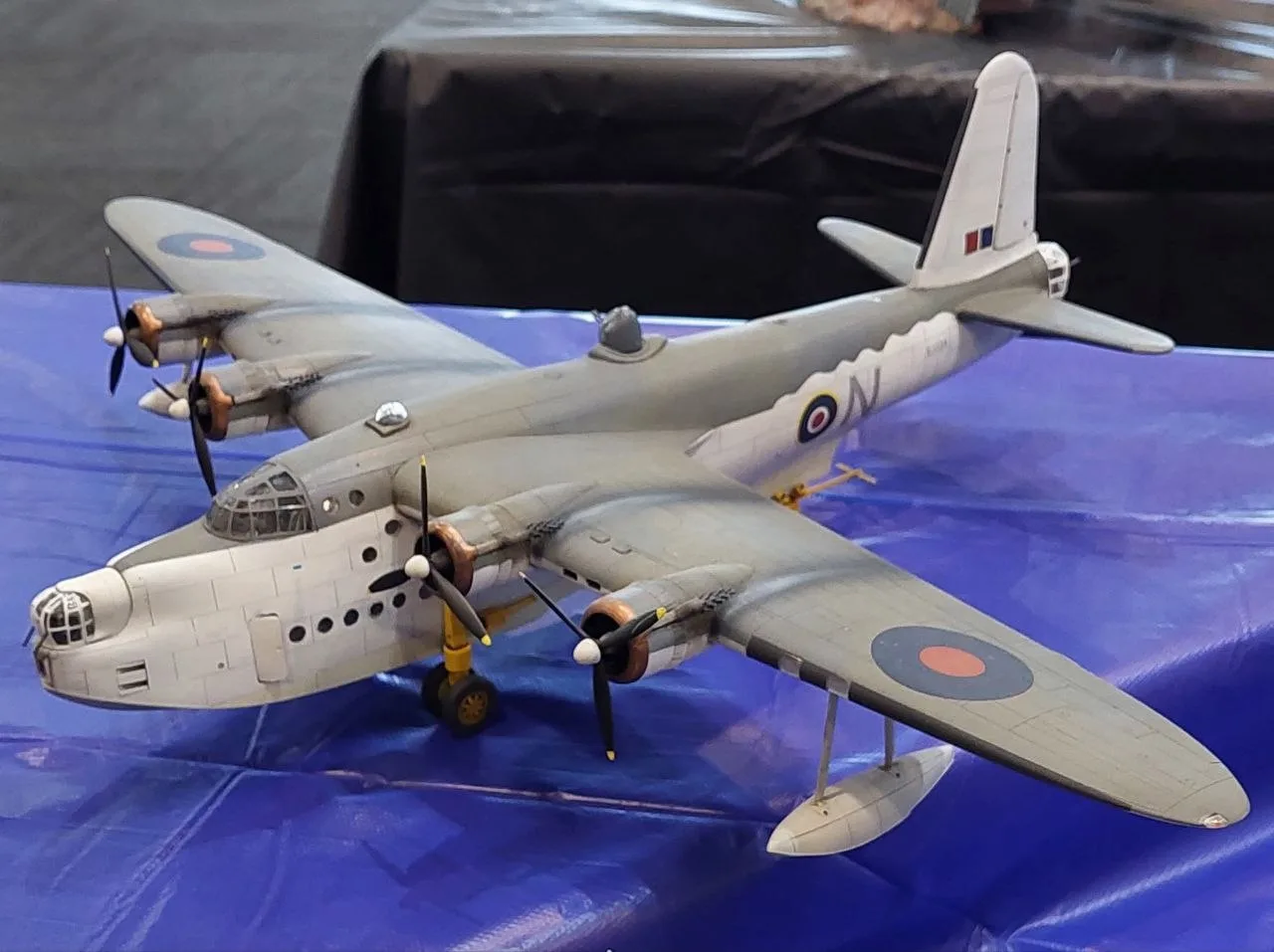 Australian Model Expo
