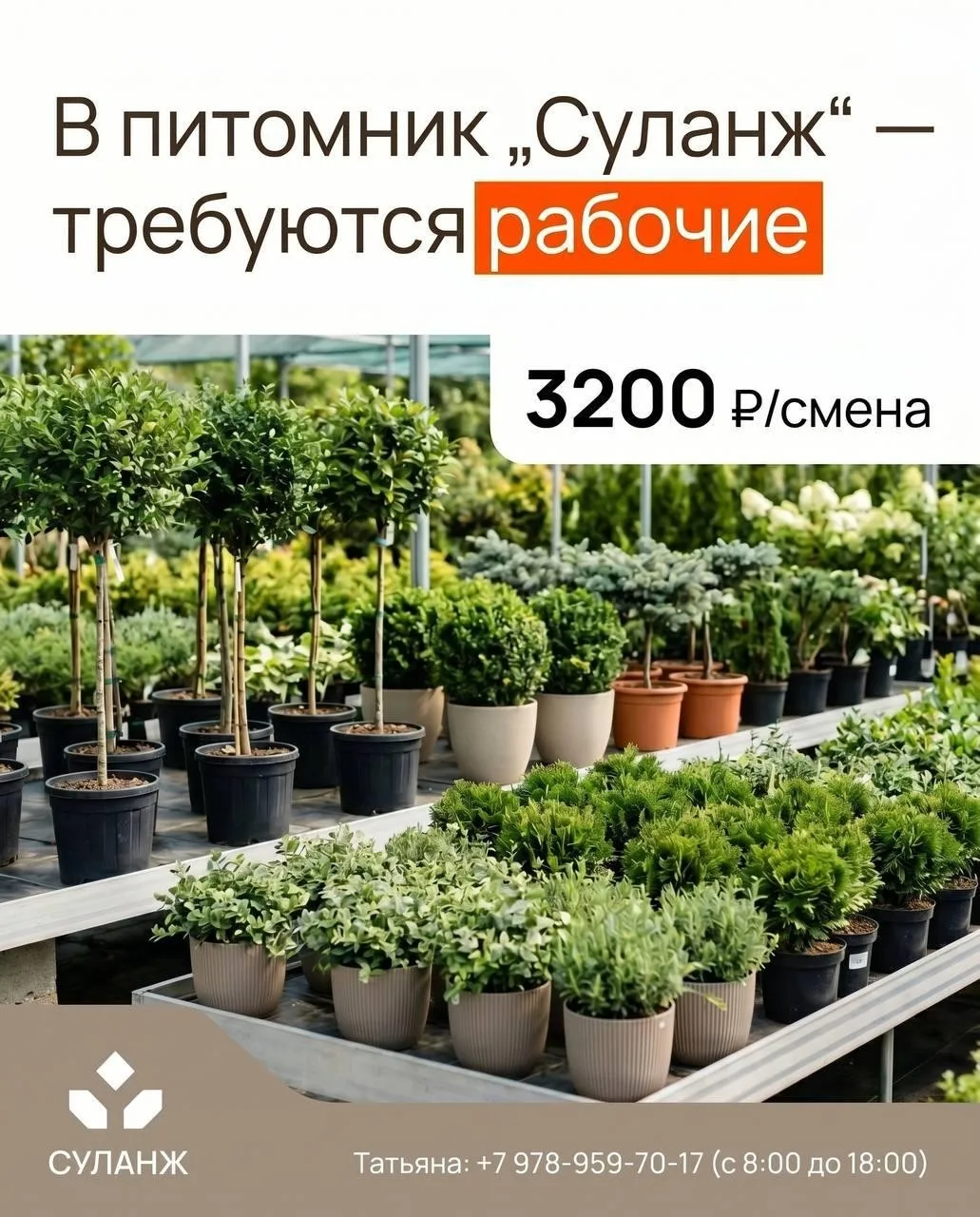 В питомник растений «Суланж» — требуются рабочие!

Объект находится: Белогорский район, с. Межгорье.