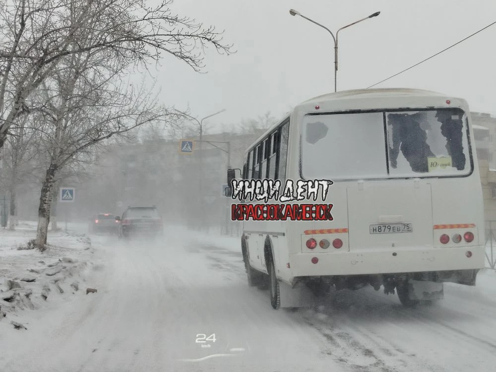 К чему стремились - получили!  Город завалило снегом, а решать эту проблему некому  Снегопад продолж