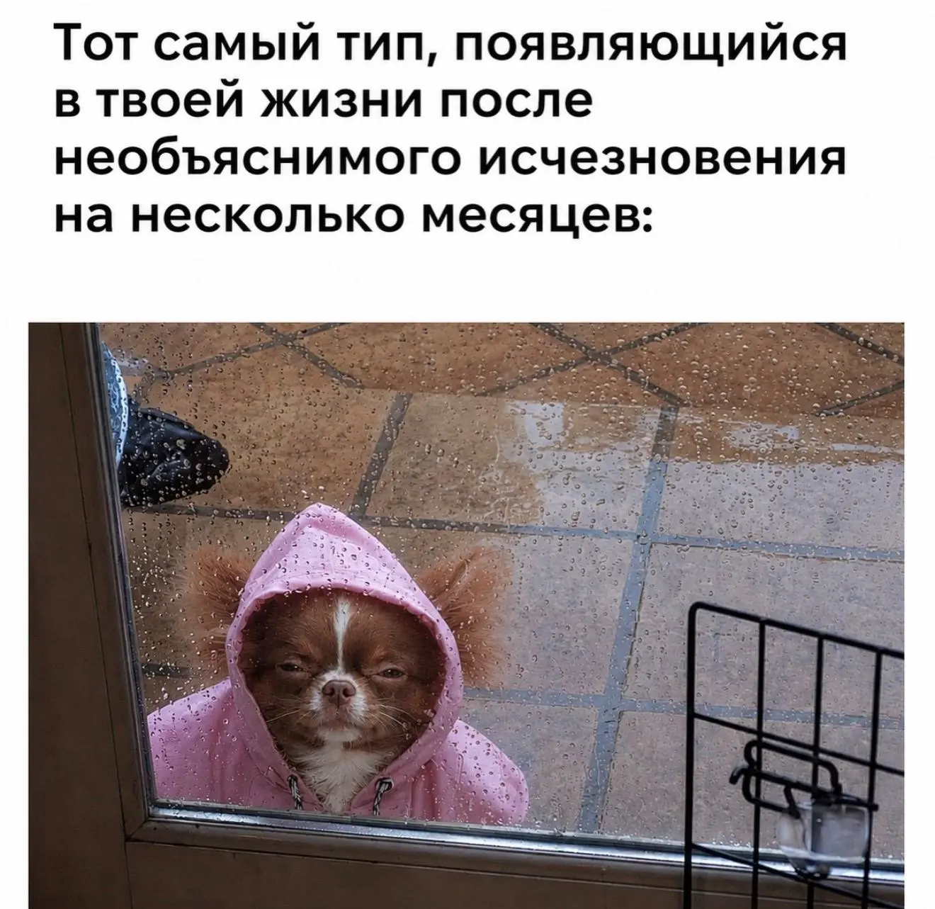@memachh