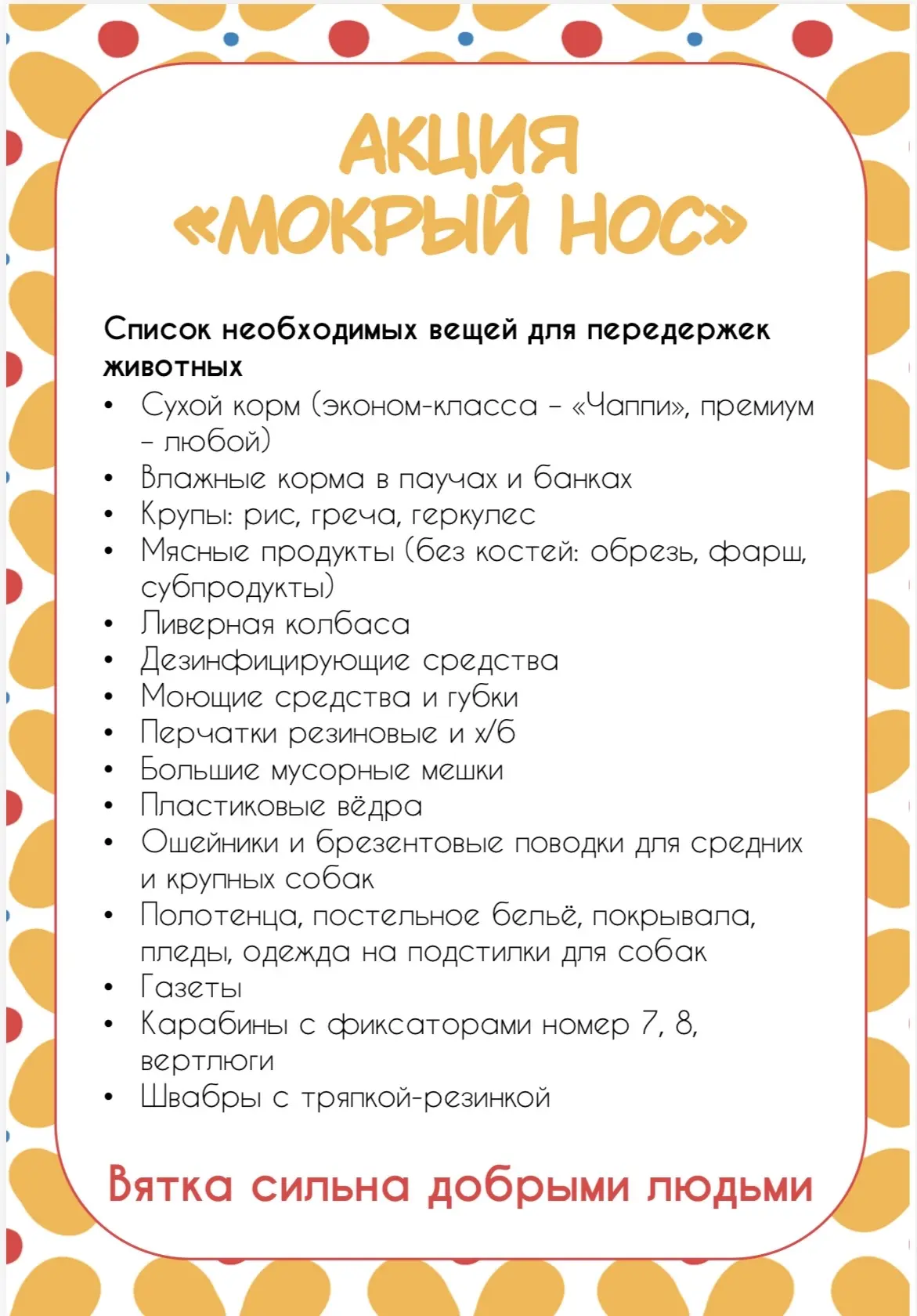 🐶 Завтра — акция «Мокрый нос»! 🐱