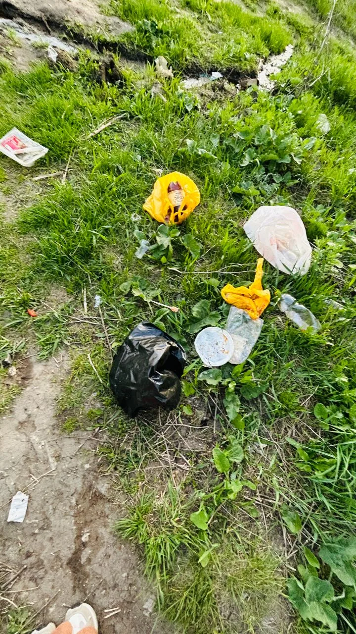 Позор жителям нашего города и нашей администрации. Невпервые приходим на бинокль,а ситуация все хуже