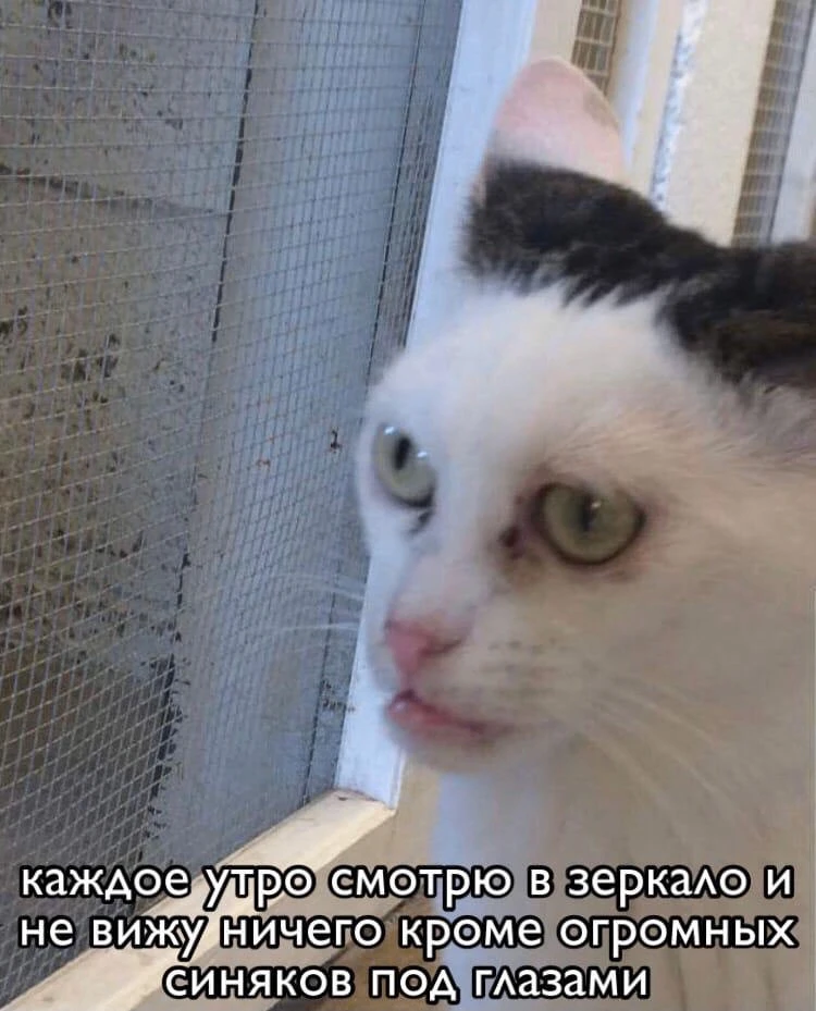 Утро доброе, держимся 🫠