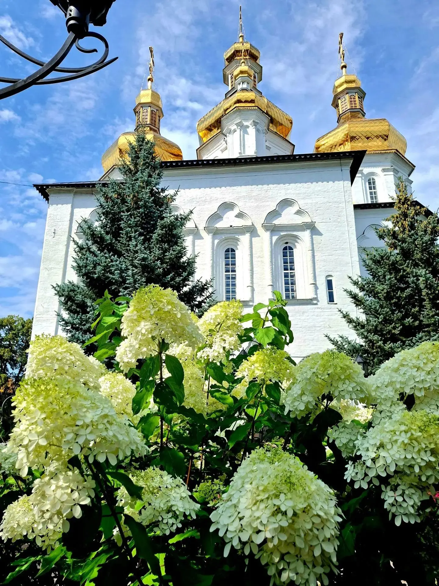 Лето в Свято -Троицком монастыре, какая же красота, согласны?
Благодарим за фото нашего подписчика👍