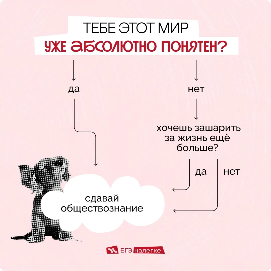 профессионально доказываю, что все пути ведут к сдаче обществознания☝🏻