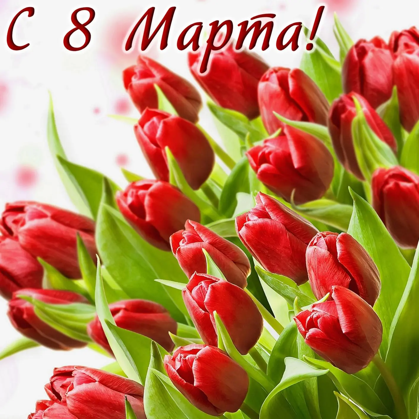 🌸Дорогие женщины, милые девушки и девочки!